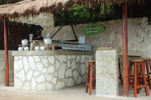 “La Palapita” Sushi Bar
